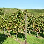 Weingut Mathy-schanz *