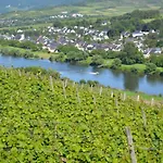 Apartament Weingut Mathy-schanz *