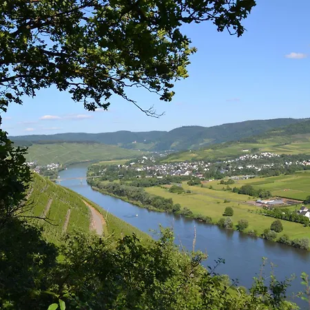 Weingut Mathy-schanz Apartment Osann-Monzel