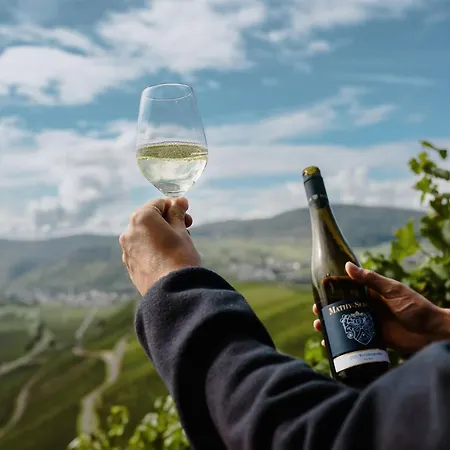 Weingut Mathy-schanz *