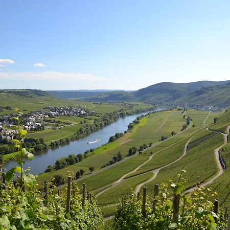 Weingut Mathy-schanz Apartment *