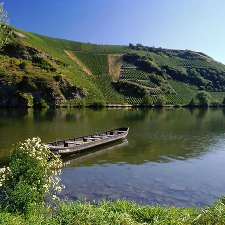 Apartment Weingut Mathy-schanz *