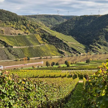 Weingut Mathy-schanz Apartment *