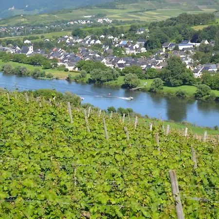 アパート Weingut Mathy-schanz *