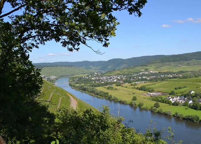 Weingut Mathy-schanz Apartment Osann-Monzel