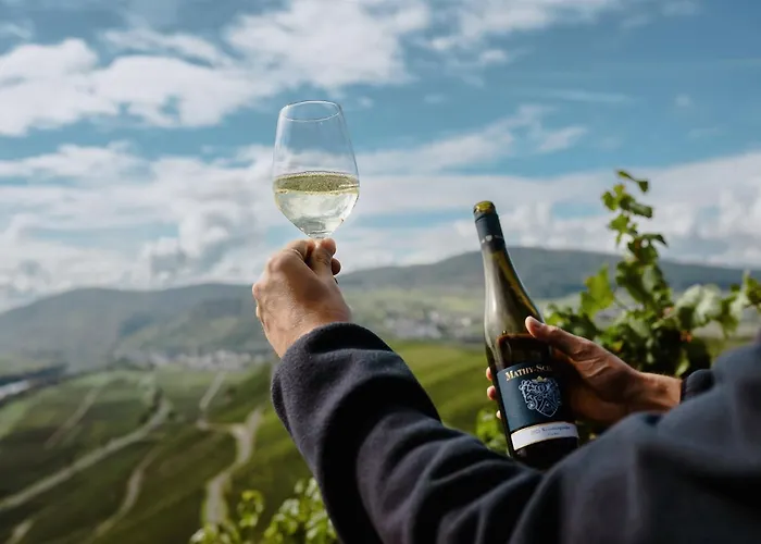 Weingut Mathy-schanz *