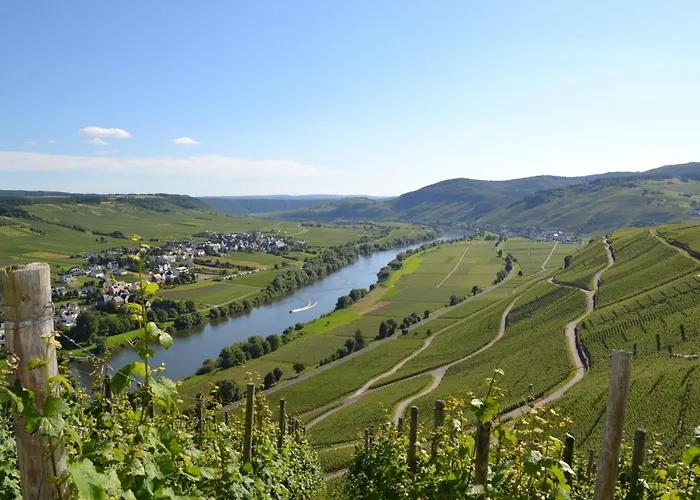 Weingut Mathy-schanz Apartment *