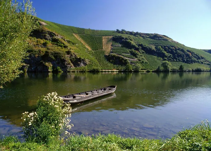 Apartment Weingut Mathy-schanz *