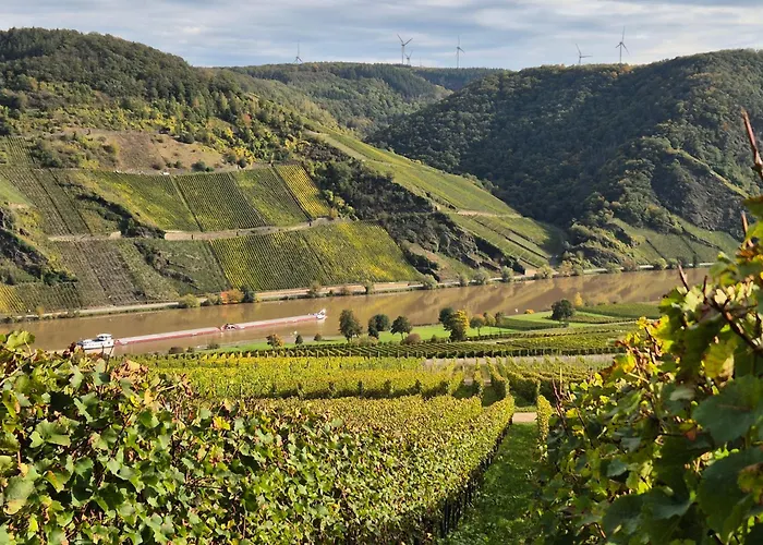 Weingut Mathy-schanz Apartment *