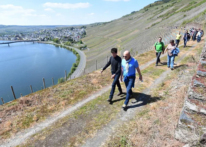 Weingut Mathy-schanz Osann-Monzel