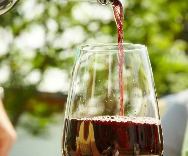 Weingut Mathy-schanz Osann-Monzel