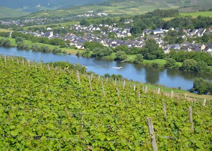 Apartment Weingut Mathy-schanz *